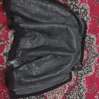 کاپشن بوفالو اصلی