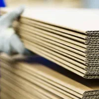 کارگر ساده از بهارستان