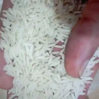 برنج ایرانی فوق‌العاده علاء ۱۰کیلویی|خوردنی و آشامیدنی|اهر, |دیوار