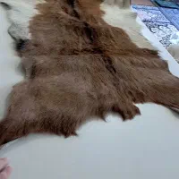 پوست بز