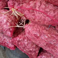 سیر لشگری قوی بیل کن مناسب بذر و سبد