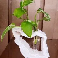 تندیس گلجای ایران