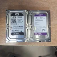 تعدادی هارد HDD وسترن بنفش و مشکی و سبز