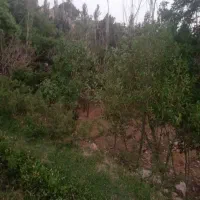 چادرمسافرتی