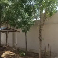 باغ ،دامداری،زمین کشاورزی|فروش دفتر صنعتی، کشاورزی، تجاری|رضویه, |دیوار