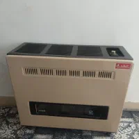 بخاری سالم