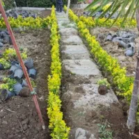 خدمات باغبانی باغچه کاری تعویض خاک گلدان کاشت گل