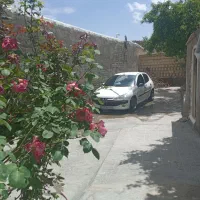 ۲۰۶ مدل۸۱ فرانسه رینگ اسپرت