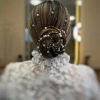 تل دانتل، مجلسی