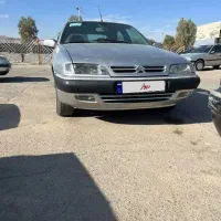 زانتیا درحد خشک