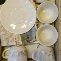 ۱۲ تا فنجون و نعلبکی آرکوپال فرانسه