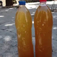 رب گوجه فرنگی و سرکه سیب و انگور موجود است