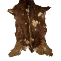 پوست طبیعی بز دباغی شده اصل با کیفیت|صنایع دستی و سایر لوازم تزئینی|کرج, ساماندهی|دیوار