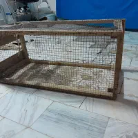 فروشی|لوازم جانبی حیوانات|تربت‌حیدریه, فرمانداری|دیوار