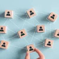 مدیر داخلی/ مشاور حقوقی/ مدیر فروش/ طراح