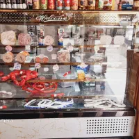 یخچال ویترینی فریزر کالباس بر ترازو قفسه|فروشگاه و مغازه|رشت, حمیدیان|دیوار