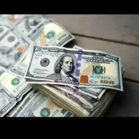 درآمد دلاری برای افراد خانه دار