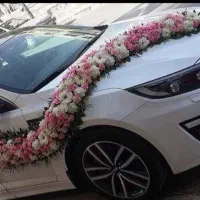 گل عروس|گل و گیاه طبیعی|خمینیشهر, |دیوار