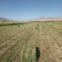 بسته یونجه