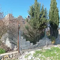 زمین همراه با درخت در مازندران بهشهر