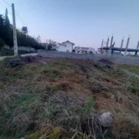 فروش زمین سلیم آباد تنکابن