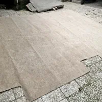 موکت|موکت|رشت, جانبازان|دیوار