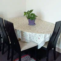 میز ناهار خوری|میز و صندلی غذاخوری|تربت جام, باغ سنگان سفلی|دیوار