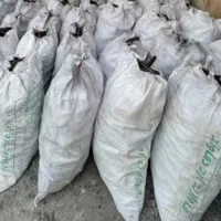 ذغال کبابی درختی