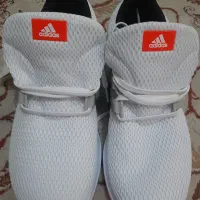 کتانی آدیداس اصل.نو