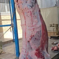 قصاب سلاخ|خدمات پذیرایی، مراسم|اسلامشهر, شهرک واوان|دیوار