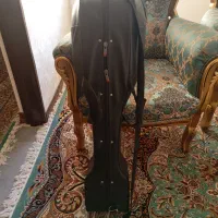 تار تمیز. و مرتب و کم کار کلا سه ماه کار کرده|سازهای سنتی|شهرکرد, |دیوار