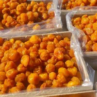 خریدو فروش برگه زردالو الوچه و قیصی به صورت عمده|خوردنی و آشامیدنی|تبریز, |دیوار