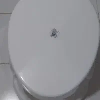 توالت فرنگی
