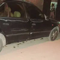 سمندشاسی پلم