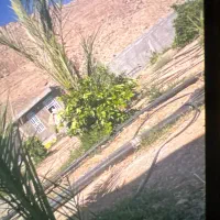 فروش1/600متر باغ شهری|فروش زمین و ملک کلنگی|داراب, |دیوار