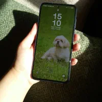 سامسونگ a55 رم ۸، 256|موبایل|ملایر, |دیوار