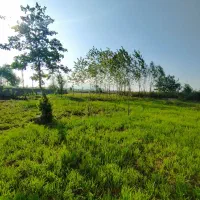 زمین-روستایی-250متر-با-کاربری-مسکونی