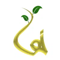 تور آرامشی در آگاهی سبز ، گیلان