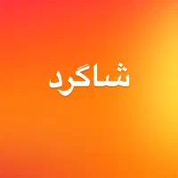 شاگرد مکانیکی و جلوبندی