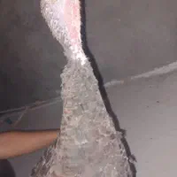 بوقلمون ماده تخم گذار