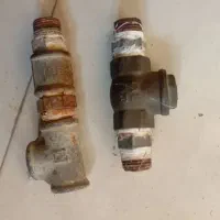 مغزی شیر برگشت