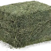 یونجه