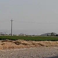 یونجه کوفته قیفی درجه یک