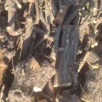 باسلام فروش انواع چوب باغی هیزمی|خدمات باغبانی و درختکاری|فلاورجان, |دیوار