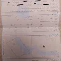 زمین مزروعی