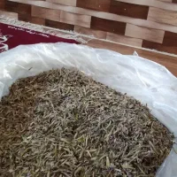 آویشن کوهی(هرچه)