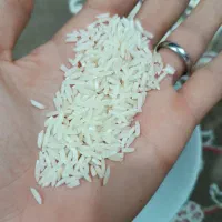 برنج هاشمی خالص|خوردنی و آشامیدنی|صومعه‌سرا, |دیوار