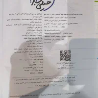کتاب کار خیلی سبز دهم|کتاب و مجله آموزشی|مشهد, امام خمینی|دیوار