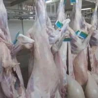 گوشت منجمدبرزیلی|خوردنی و آشامیدنی|اصفهان, فجر|دیوار