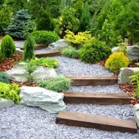 باغبانی ،هرس،سمپاشی و تشخیص بیماری و درمان،غنیسازی